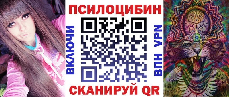 хочу   Нариманов  даркнет телеграм  Галлюциногенные грибы Psilocybe 